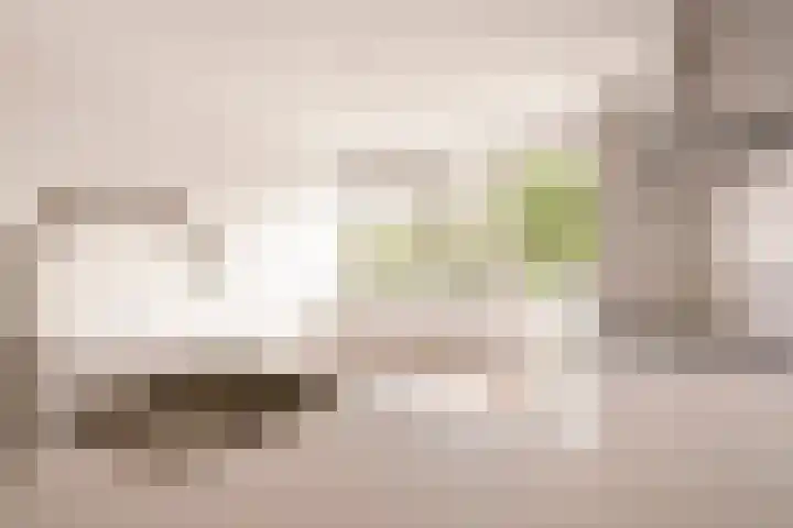 Laan van Parijs 162 Haarlem thumbnail 9