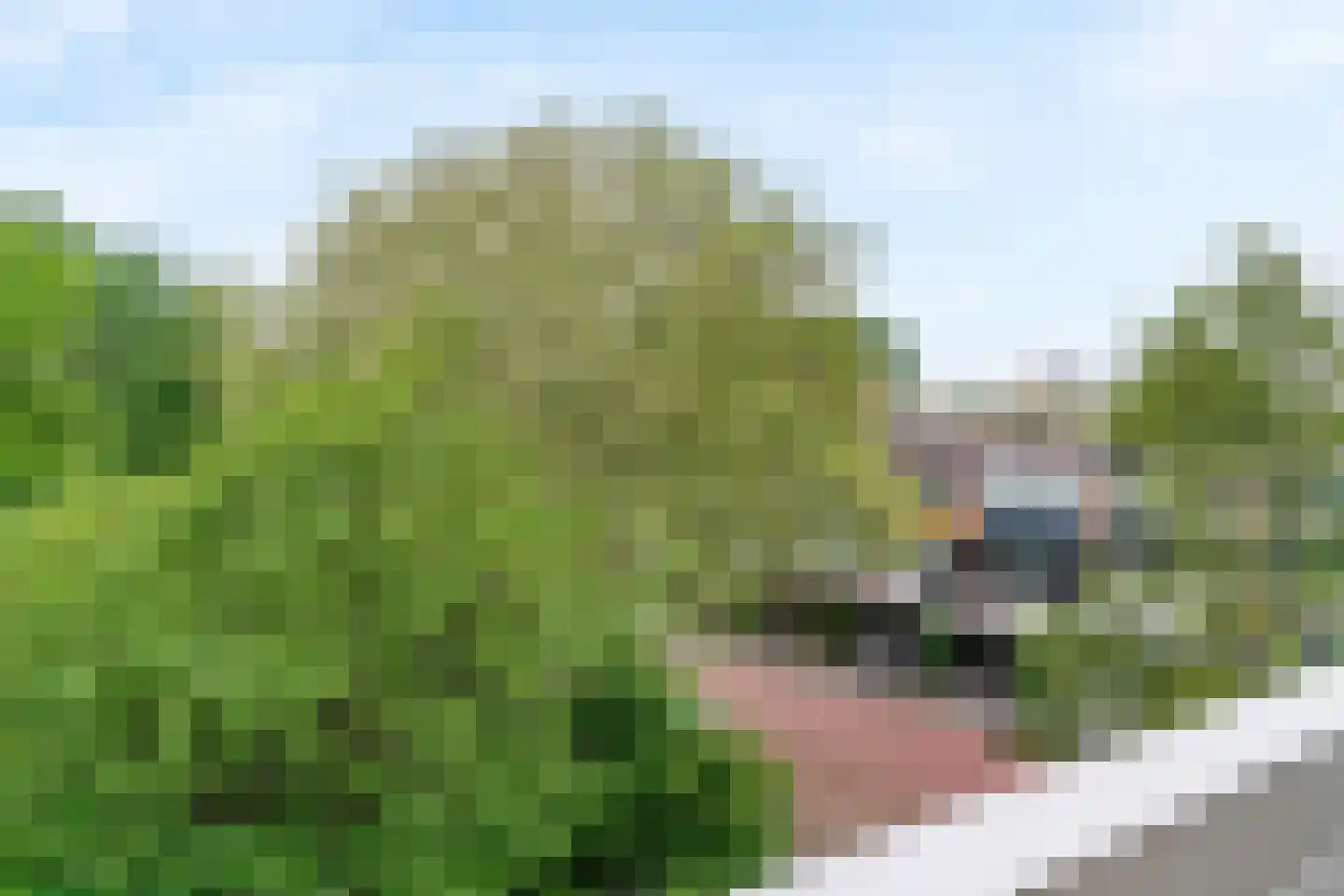 Laan van Parijs 18 Haarlem thumbnail 11
