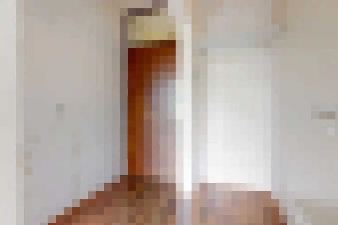 Laan van Parijs 18 Haarlem thumbnail 14