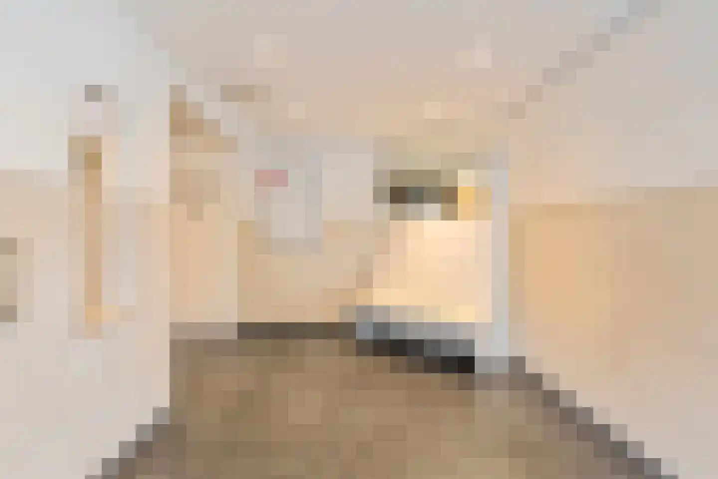 Laan van Parijs 18 Haarlem thumbnail 21