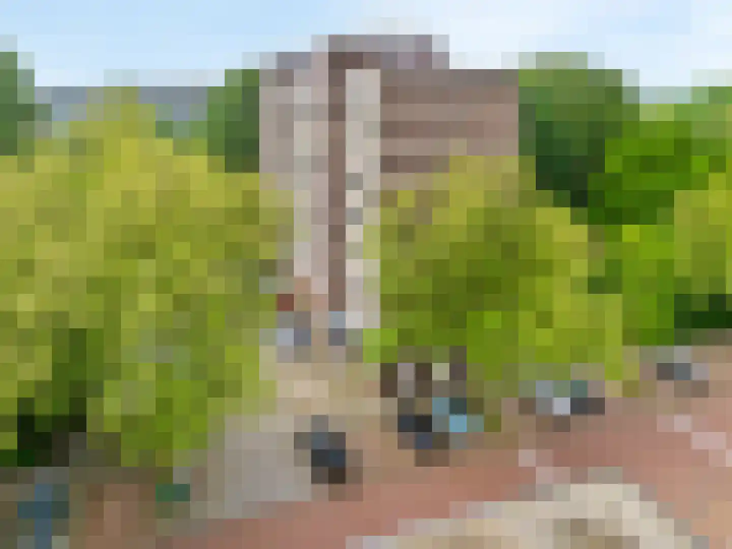 Laan van Parijs 18 Haarlem thumbnail 23
