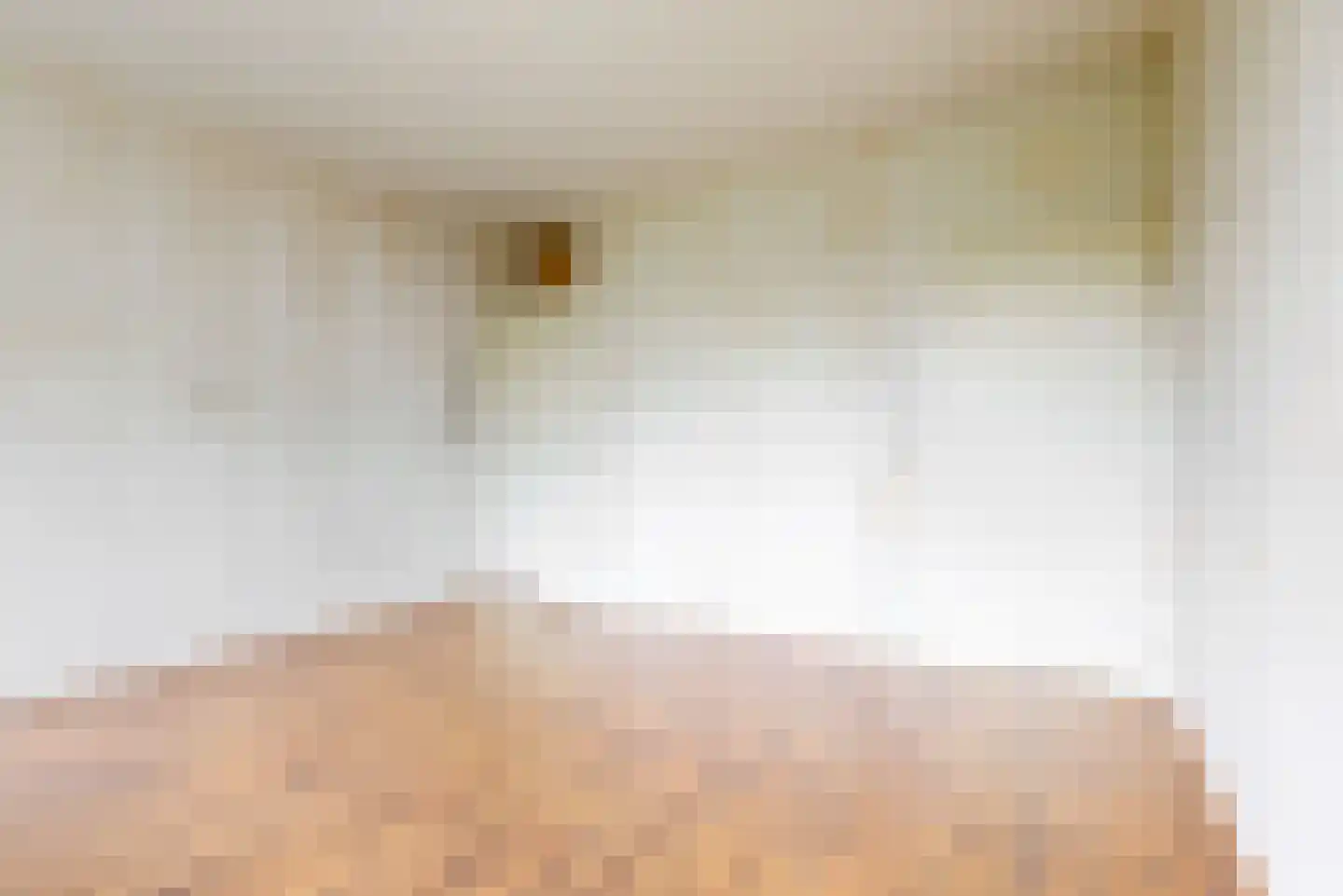 Laan van Parijs 18 Haarlem thumbnail 8