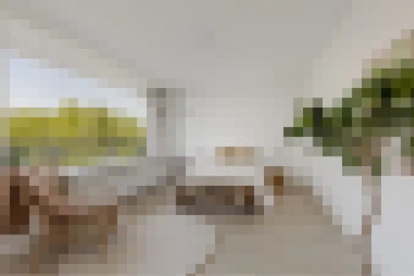 Laan van Parijs 184 Haarlem thumbnail 10