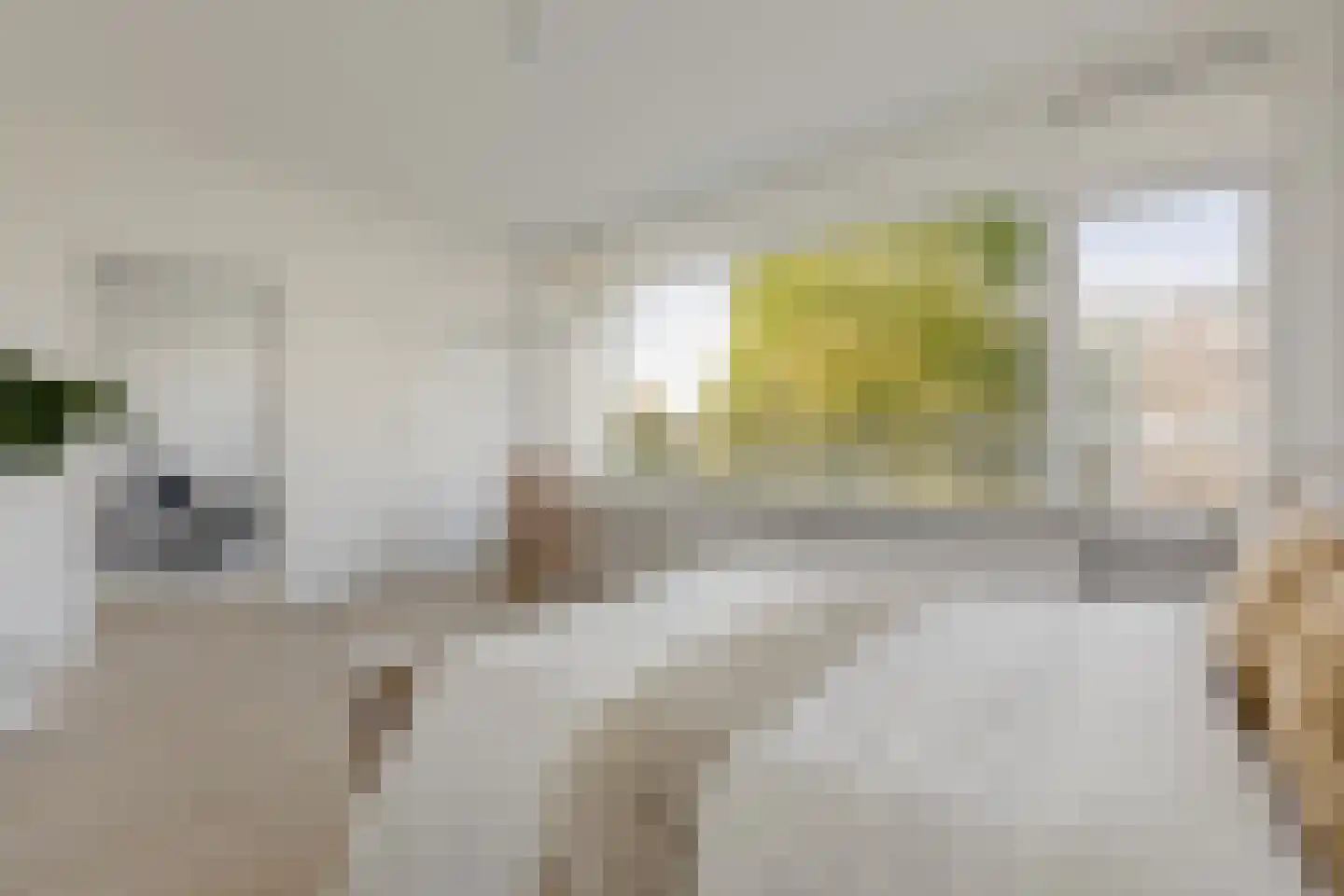 Laan van Parijs 184 Haarlem thumbnail 11