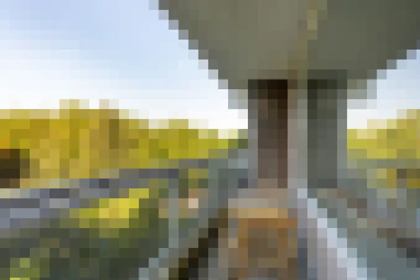 Laan van Parijs 184 Haarlem thumbnail 12