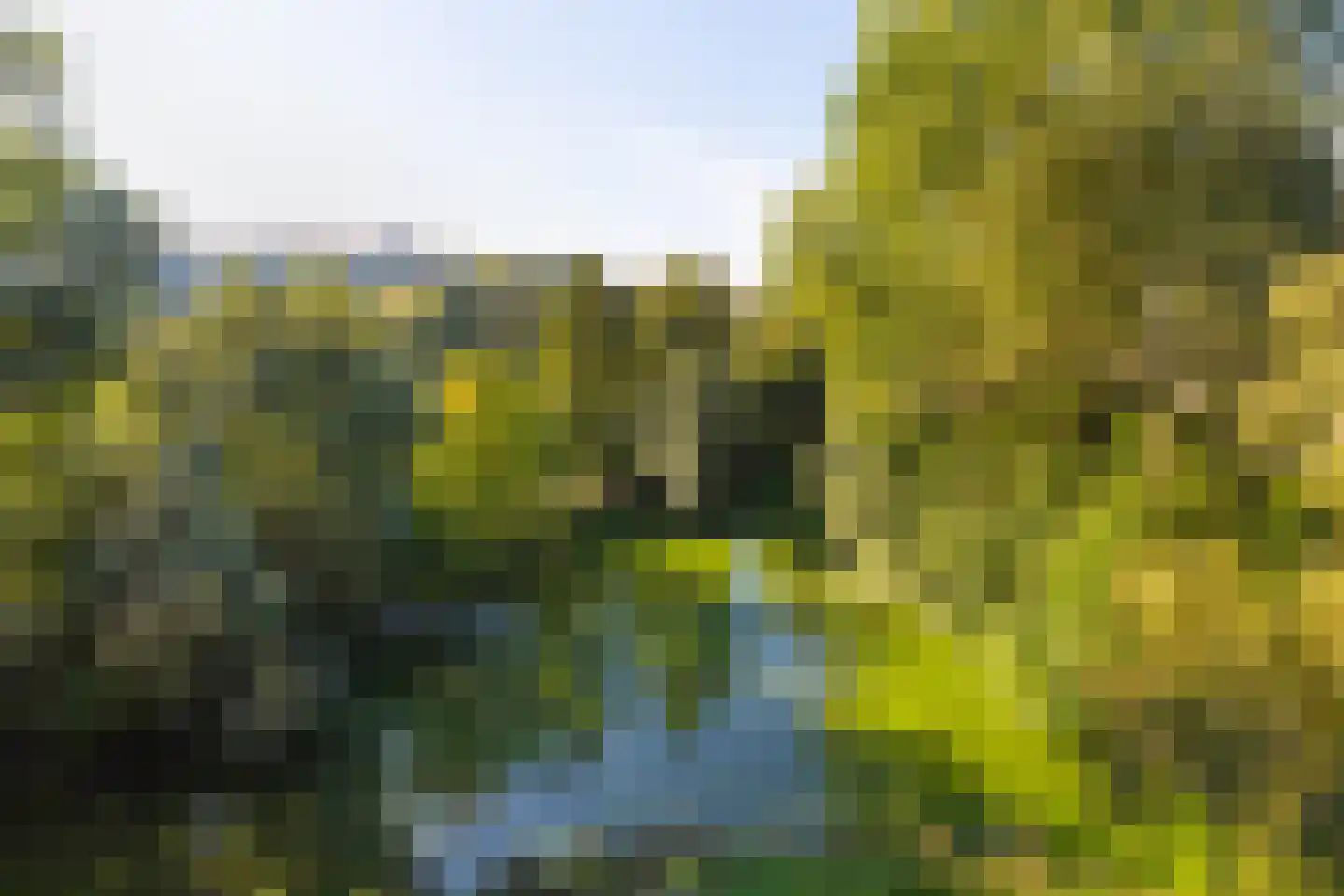 Laan van Parijs 184 Haarlem thumbnail 16