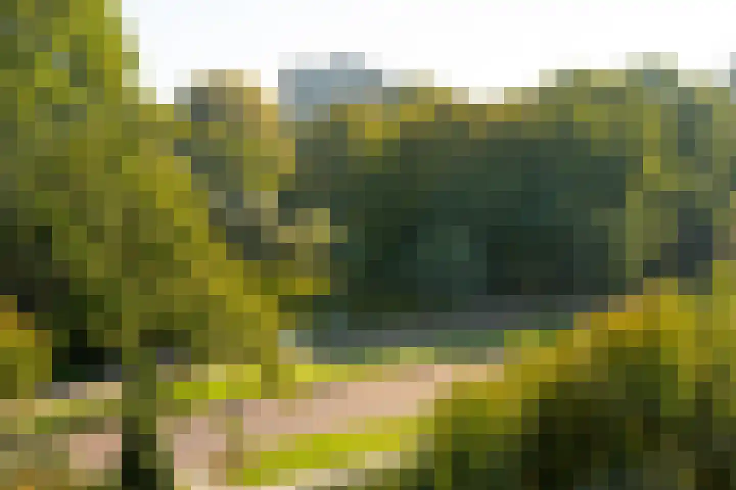 Laan van Parijs 184 Haarlem thumbnail 22