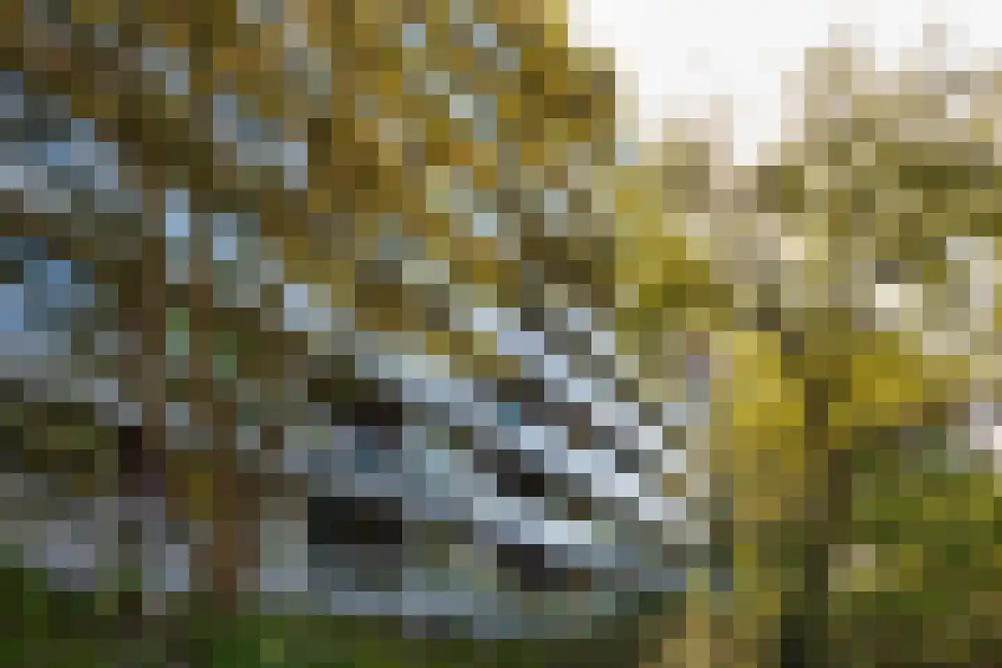 Laan van Parijs 184 Haarlem thumbnail 26