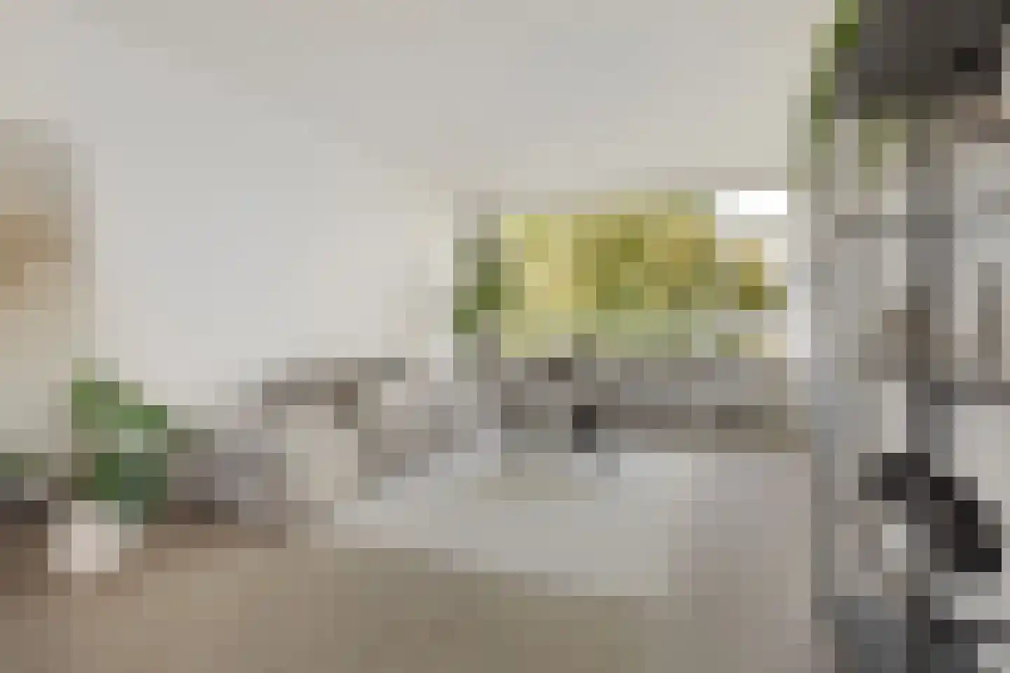Laan van Parijs 184 Haarlem thumbnail 4