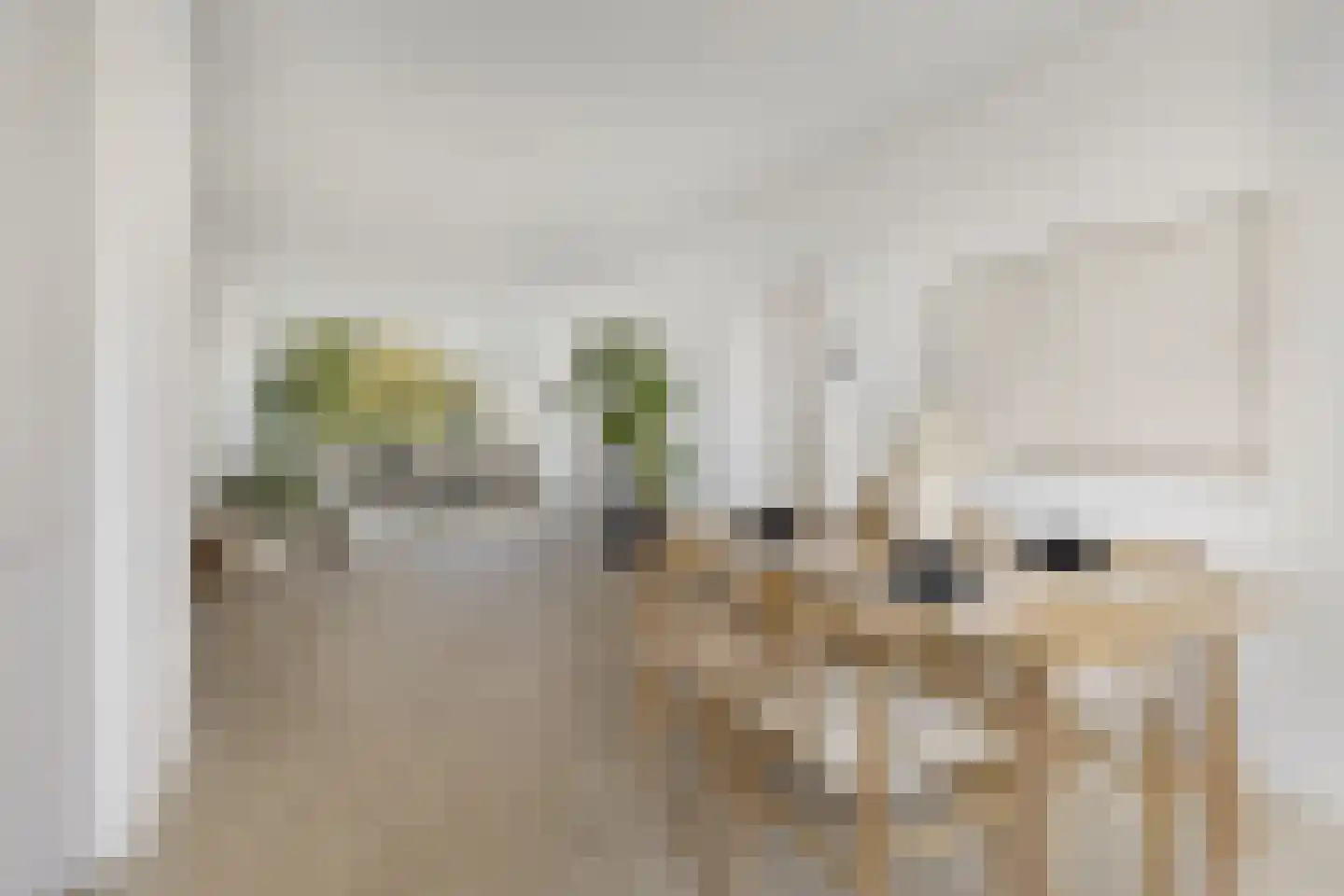 Laan van Parijs 184 Haarlem thumbnail 7
