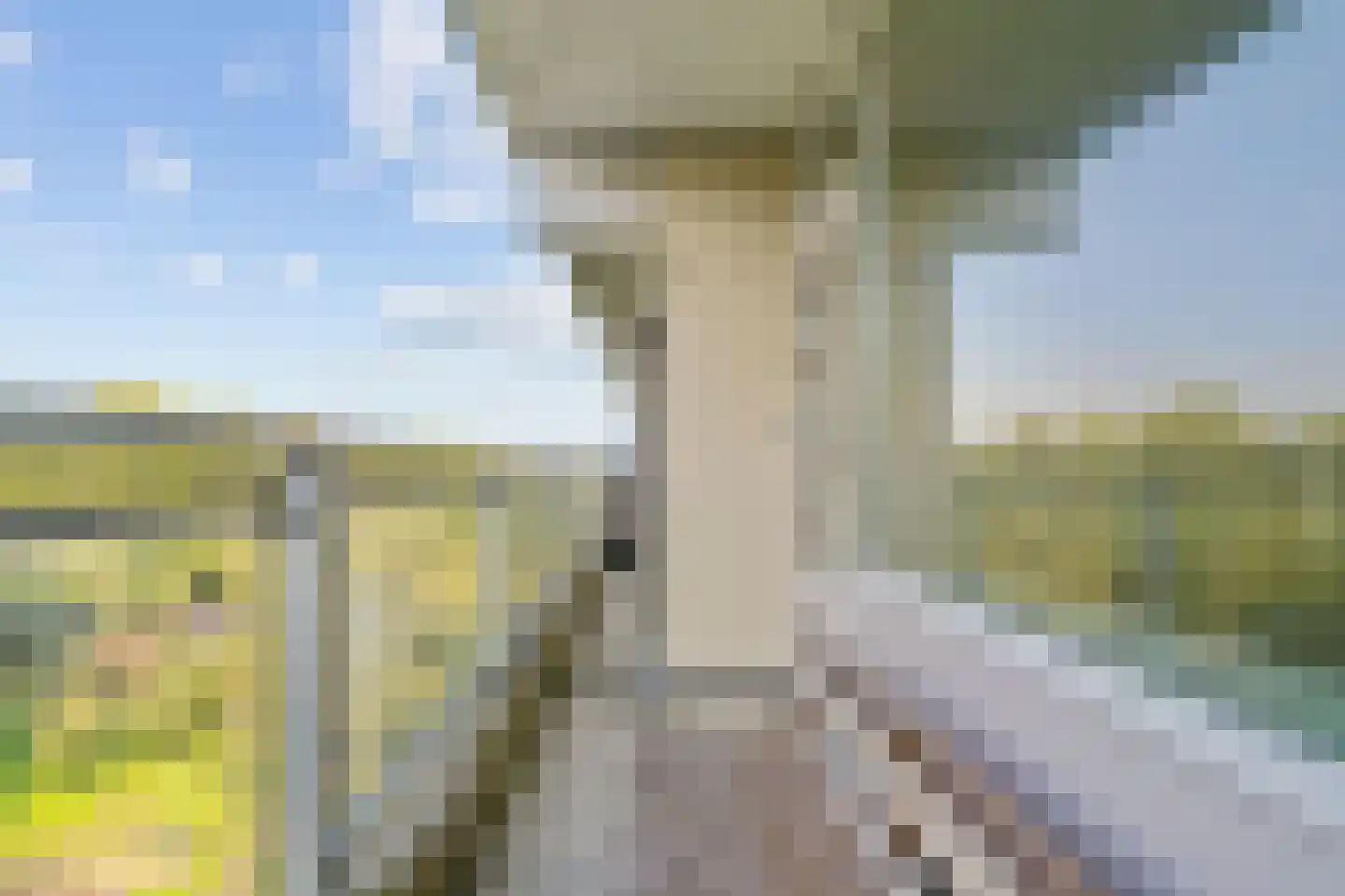 Laan van Parijs 186 Haarlem thumbnail 22
