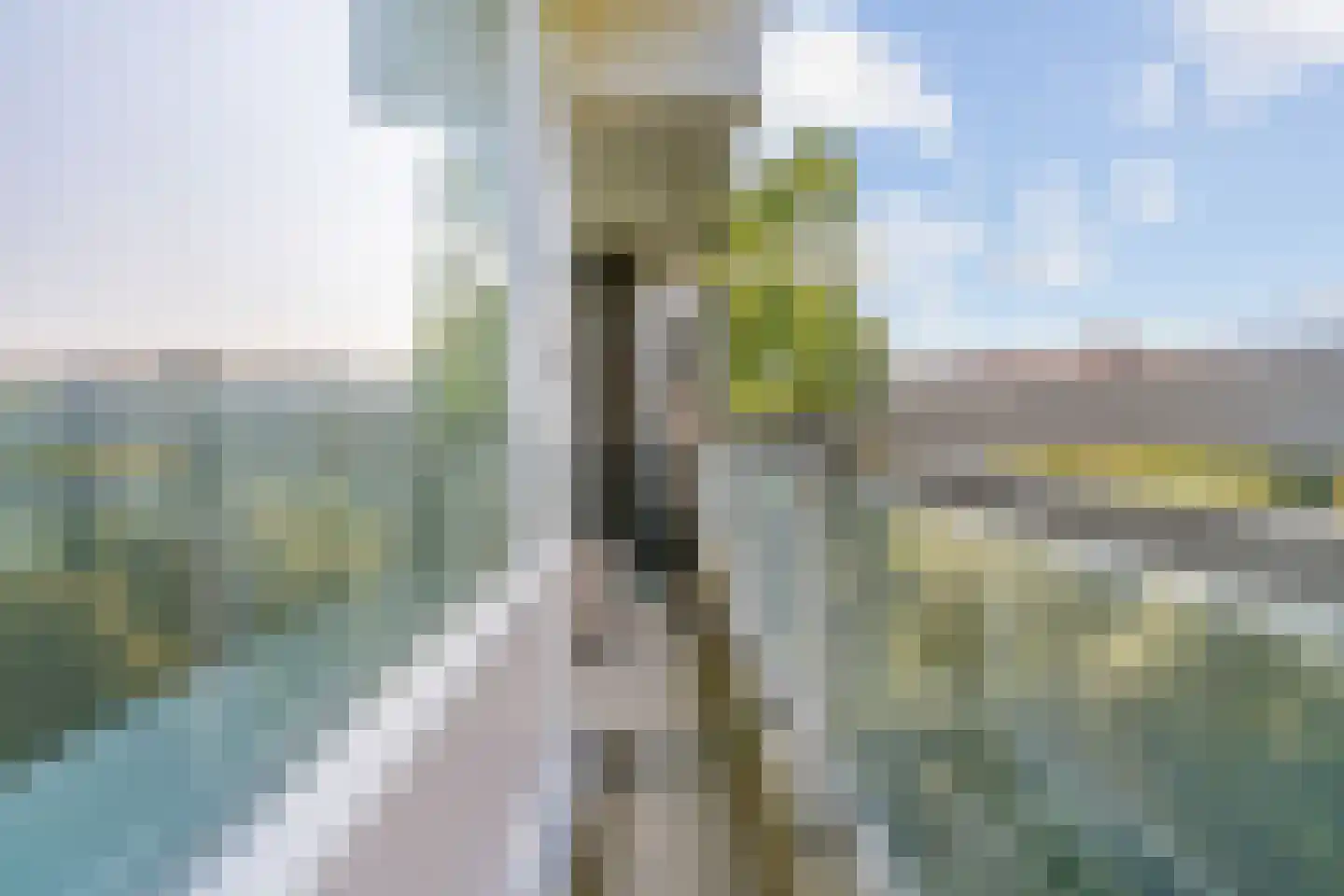 Laan van Parijs 186 Haarlem thumbnail 26