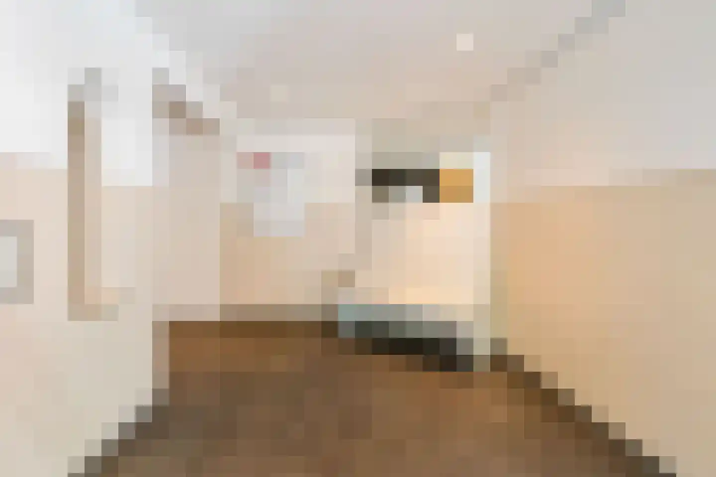 Laan van Parijs 186 Haarlem thumbnail 30