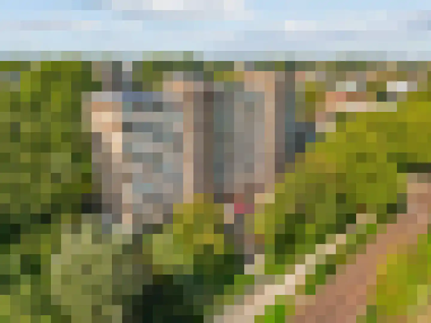 Laan van Parijs 186 Haarlem thumbnail 34