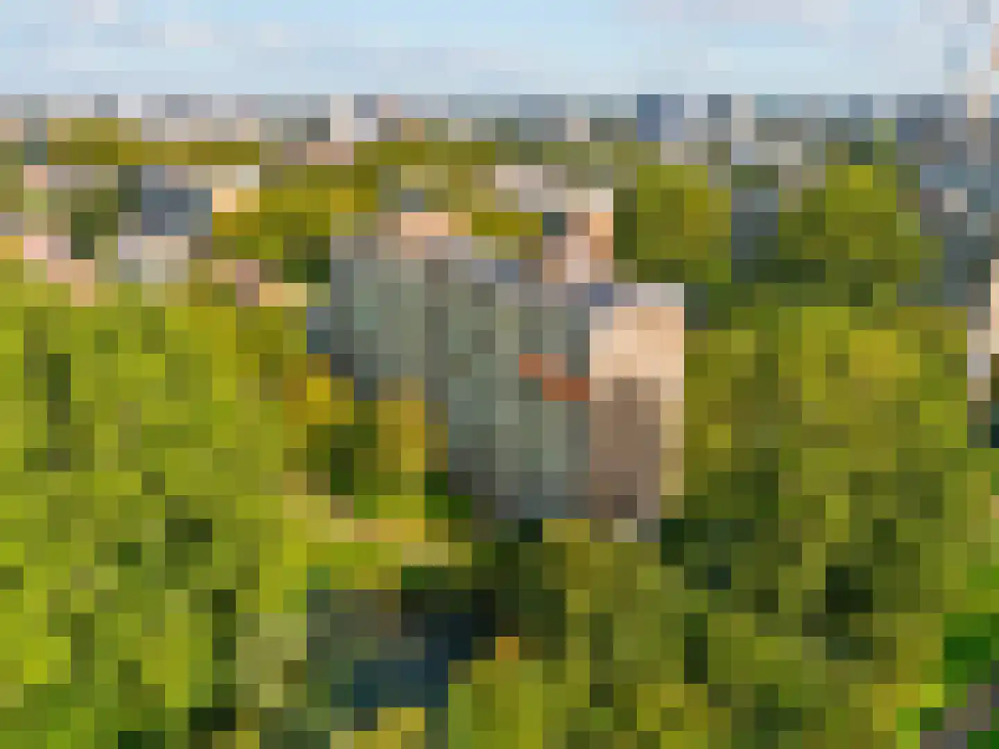 Laan van Parijs 186 Haarlem thumbnail 35
