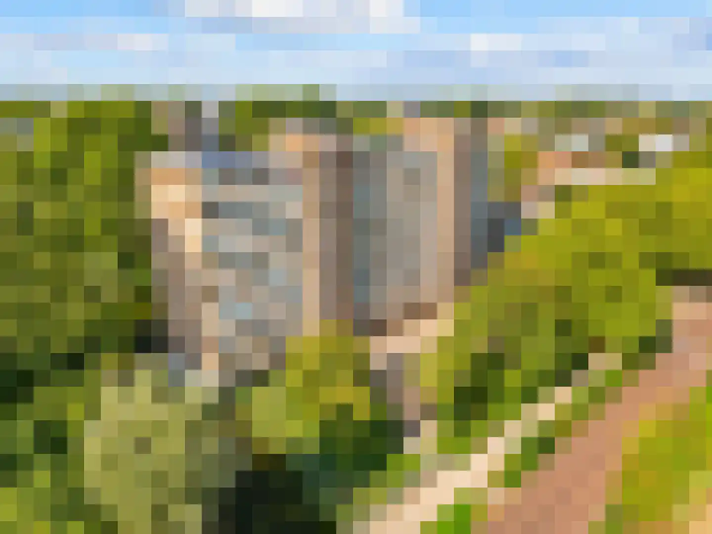 Laan van Parijs 186 Haarlem thumbnail 4