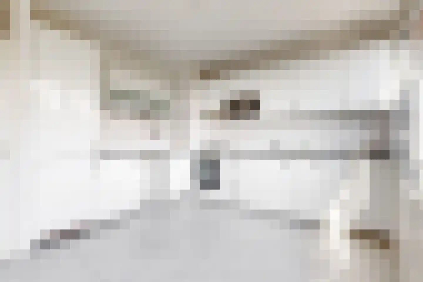 Laan van Parijs 186 Haarlem thumbnail 8