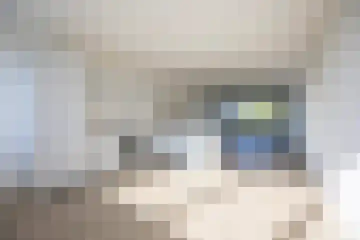 Laan van Parijs 198 Haarlem thumbnail 12