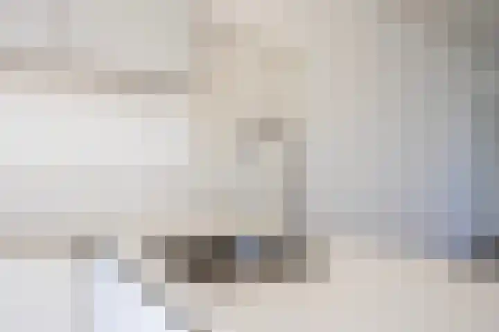 Laan van Parijs 198 Haarlem thumbnail 13