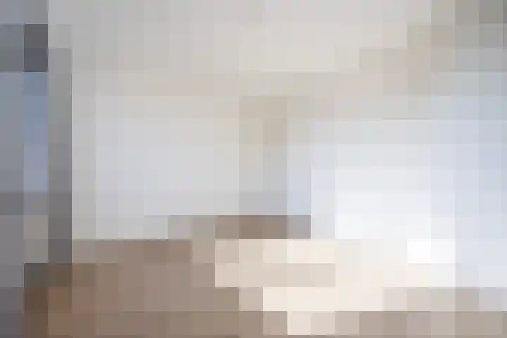 Laan van Parijs 198 Haarlem thumbnail 16