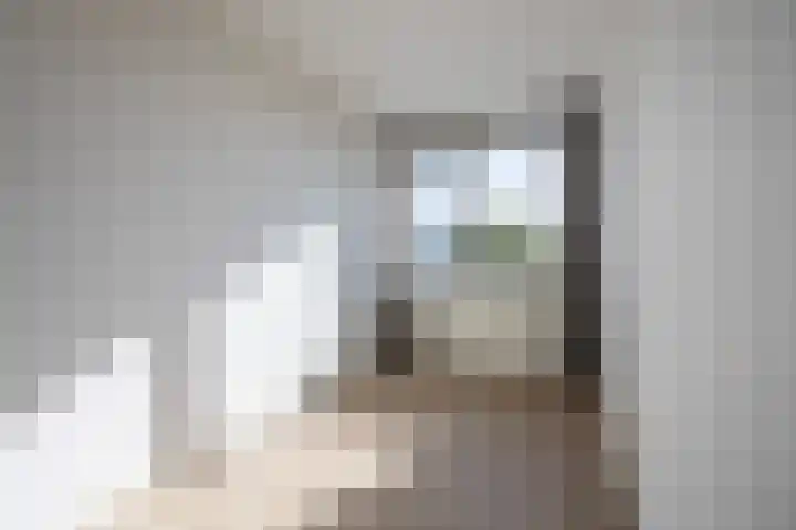 Laan van Parijs 198 Haarlem thumbnail 17