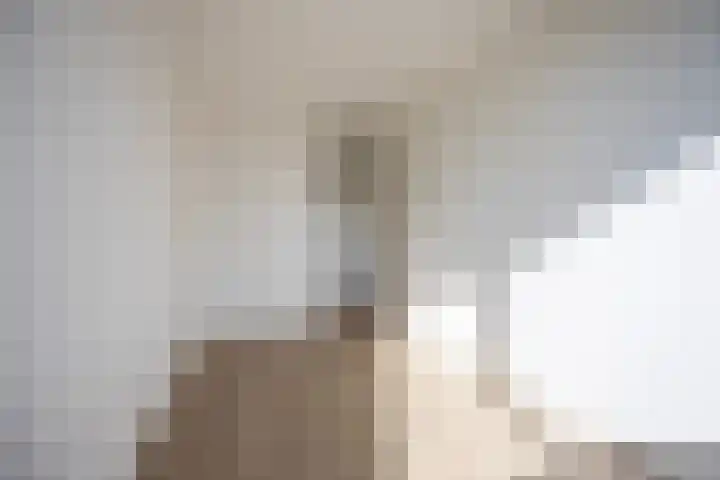 Laan van Parijs 198 Haarlem thumbnail 20