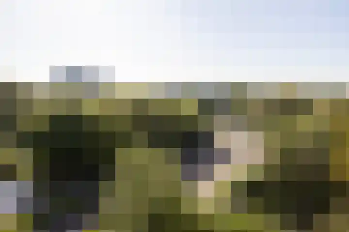 Laan van Parijs 198 Haarlem thumbnail 25
