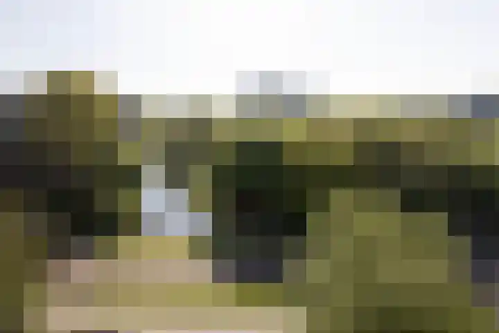 Laan van Parijs 198 Haarlem thumbnail 26