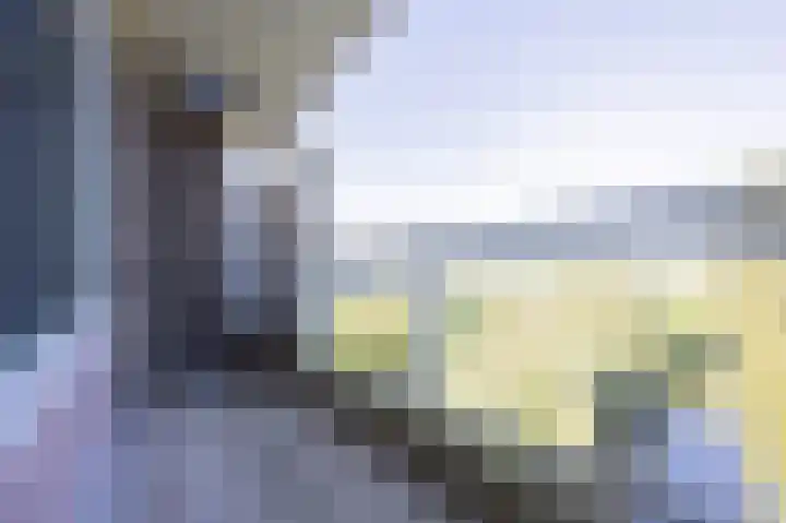 Laan van Parijs 198 Haarlem thumbnail 8
