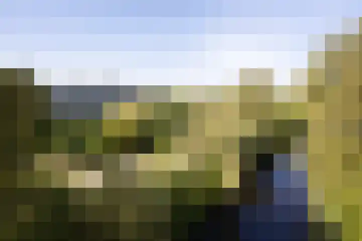Laan van Parijs 198 Haarlem thumbnail 9