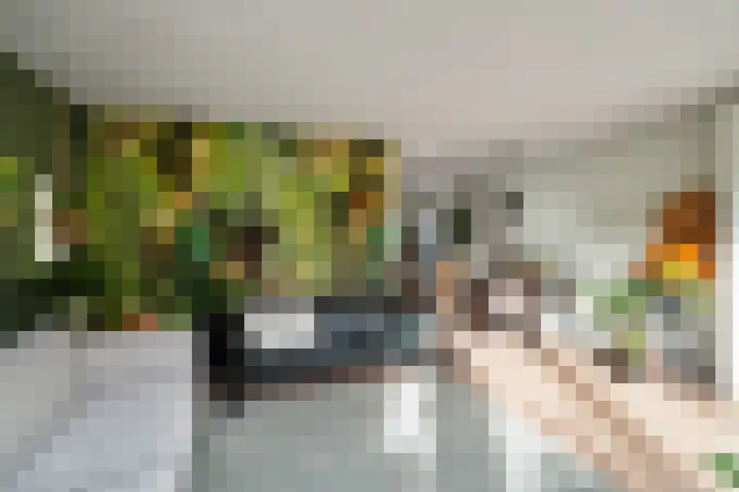 Laan van Parijs 21 Alkmaar thumbnail 10