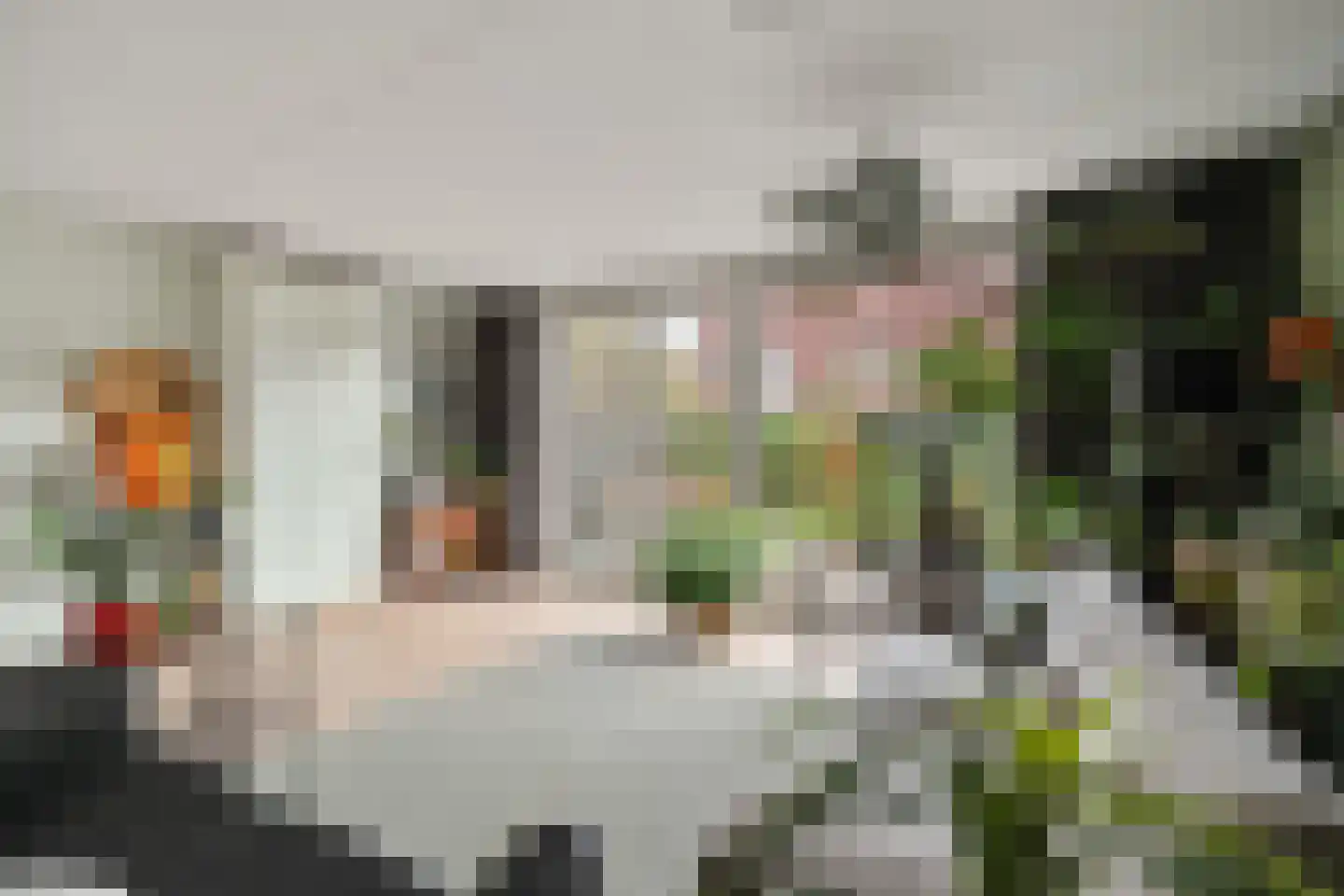 Laan van Parijs 21 Alkmaar thumbnail 11