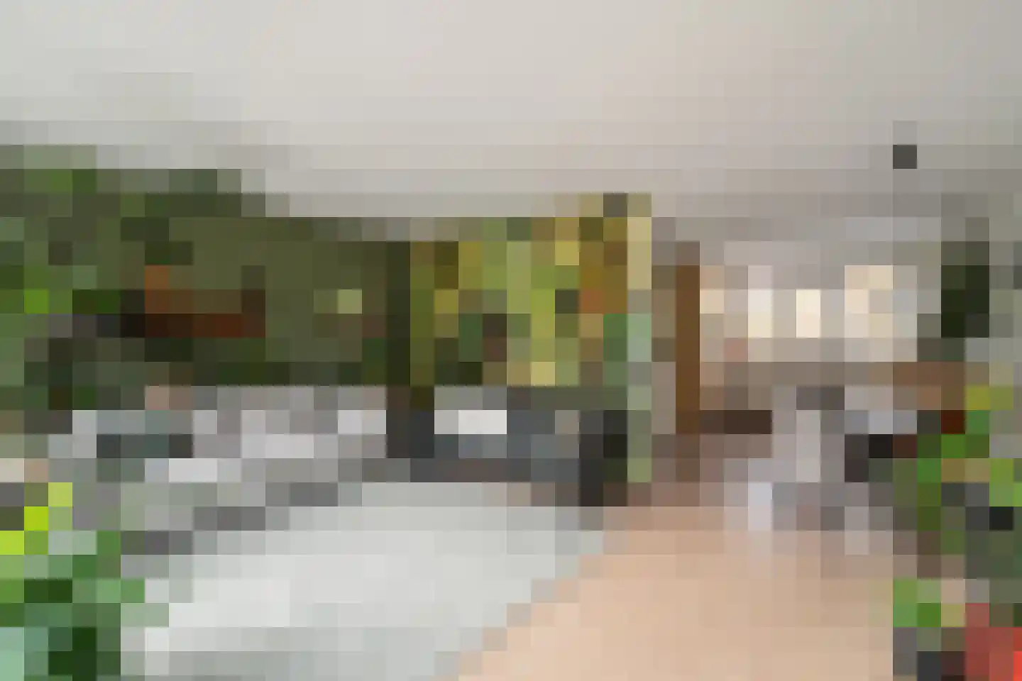 Laan van Parijs 21 Alkmaar thumbnail 12