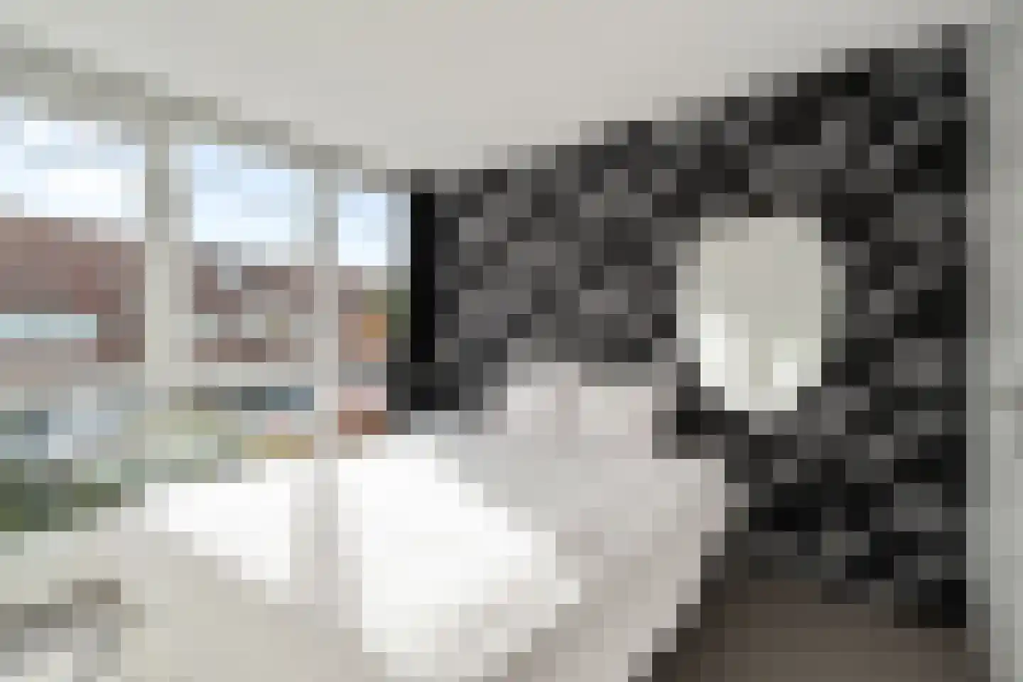 Laan van Parijs 21 Alkmaar thumbnail 17