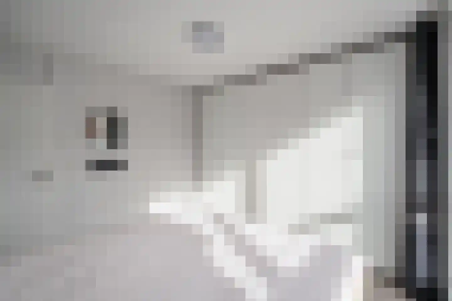 Laan van Parijs 21 Alkmaar thumbnail 18