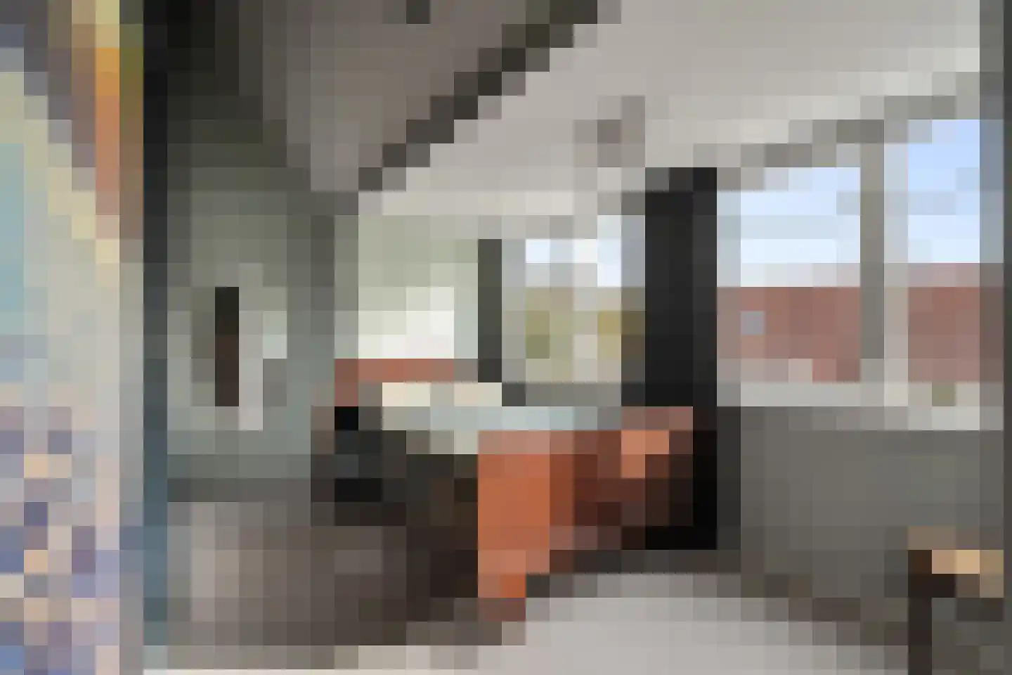 Laan van Parijs 21 Alkmaar thumbnail 28