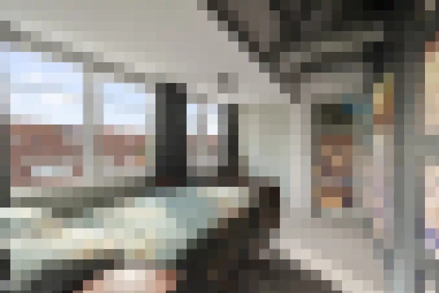 Laan van Parijs 21 Alkmaar thumbnail 29