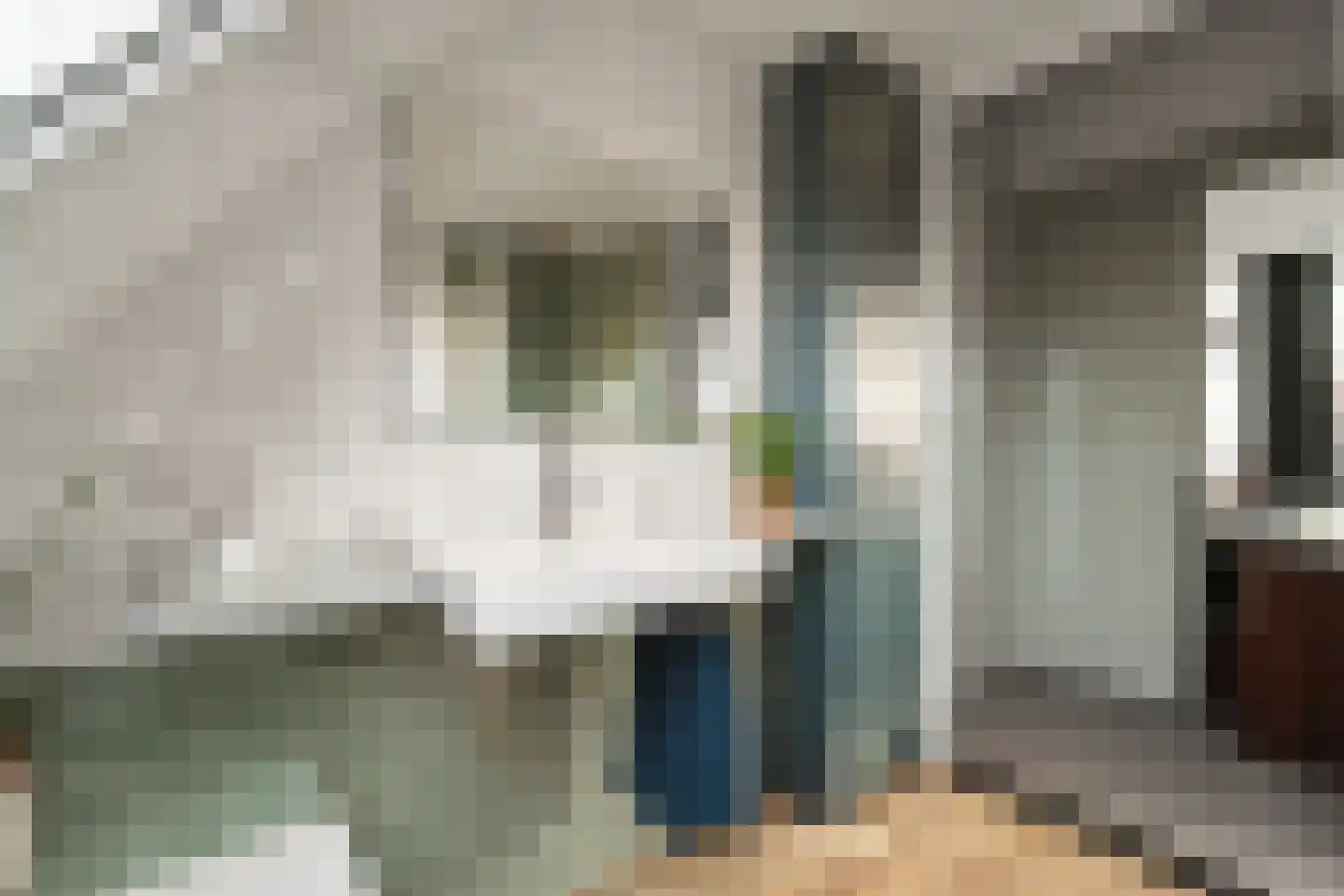 Laan van Parijs 21 Alkmaar thumbnail 30
