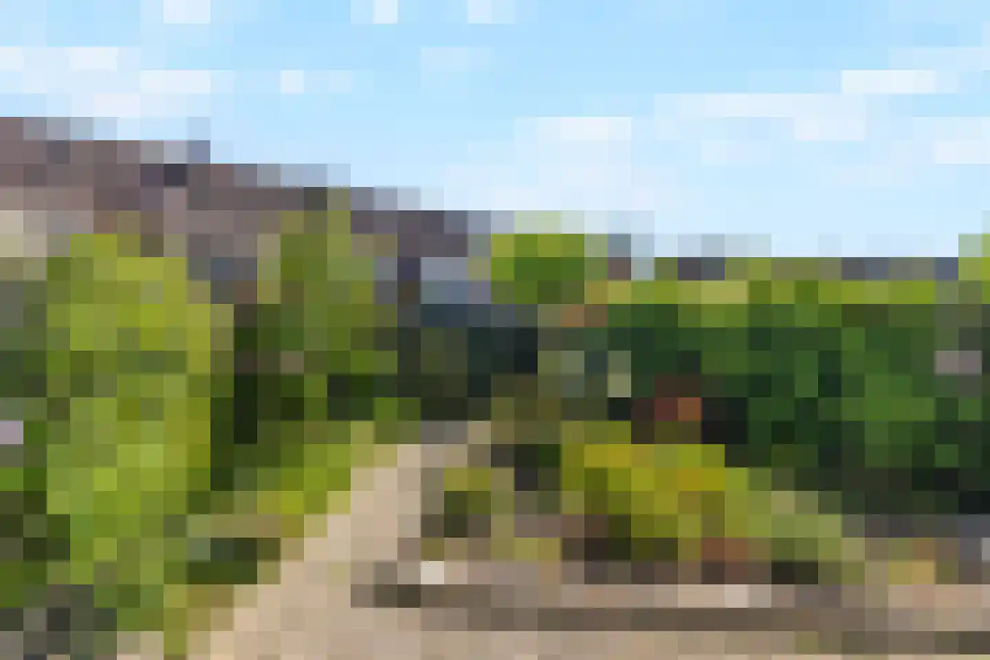 Laan van Parijs 21 Alkmaar thumbnail 36