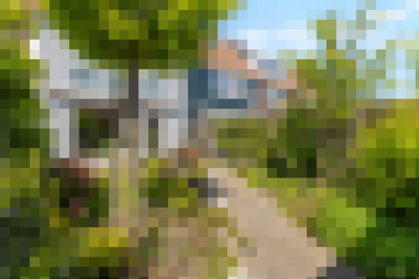 Laan van Parijs 21 Alkmaar thumbnail 40