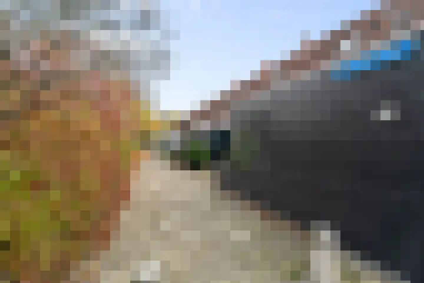 Laan van Parijs 21 Alkmaar thumbnail 5