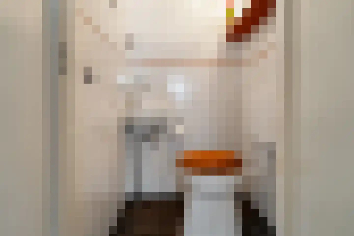 Laan van Parijs 21 Alkmaar thumbnail 8