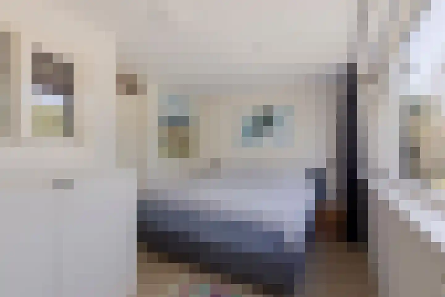 Laan van Parijs 33 Haarlem thumbnail 11