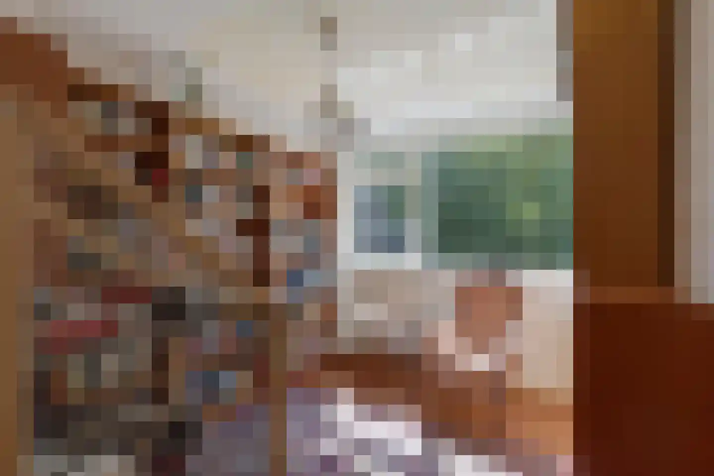 Laan van Parijs 33 Haarlem thumbnail 12