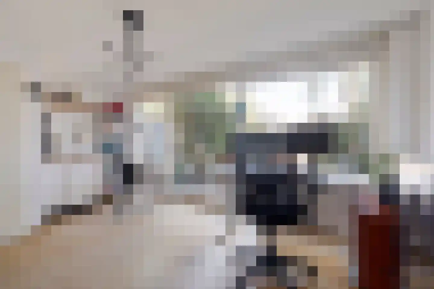 Laan van Parijs 33 Haarlem thumbnail 19