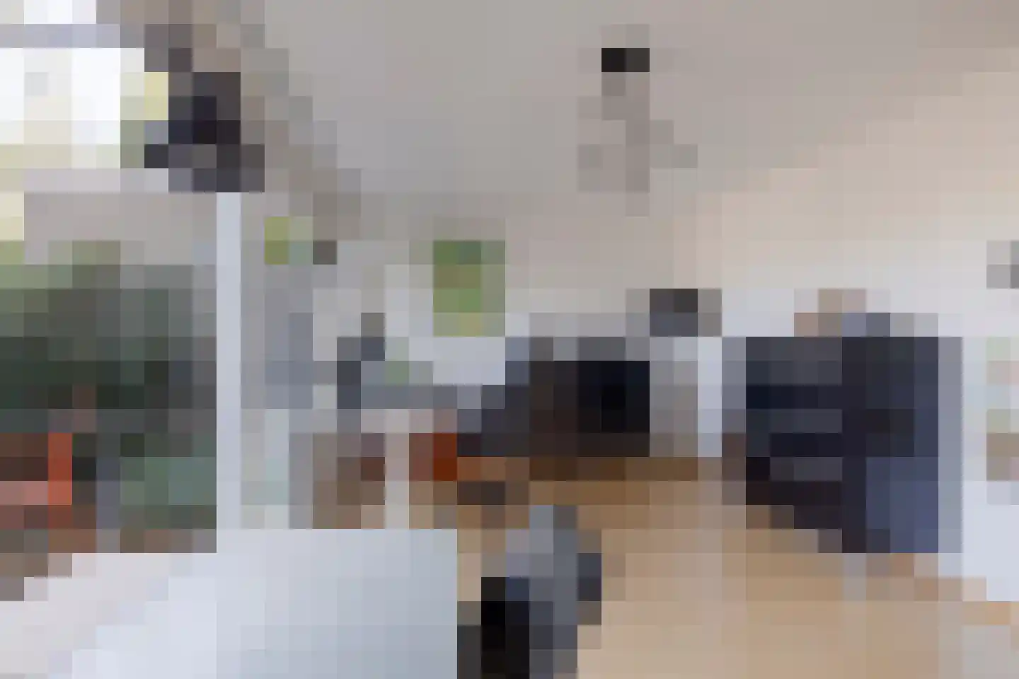 Laan van Parijs 33 Haarlem thumbnail 20