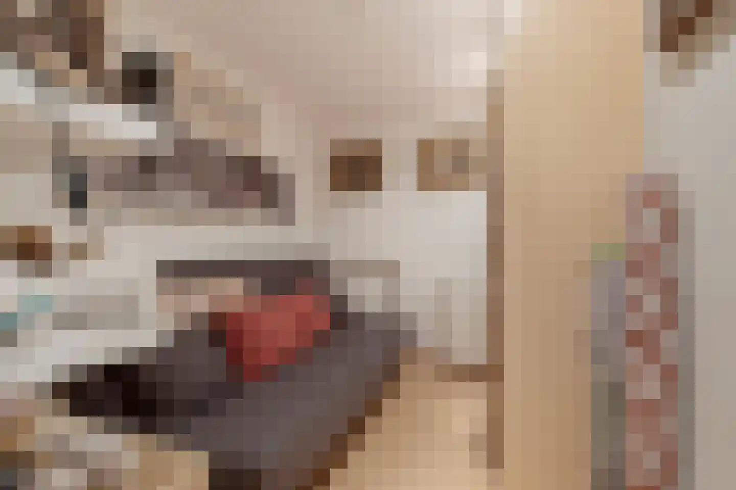 Laan van Parijs 33 Haarlem thumbnail 21