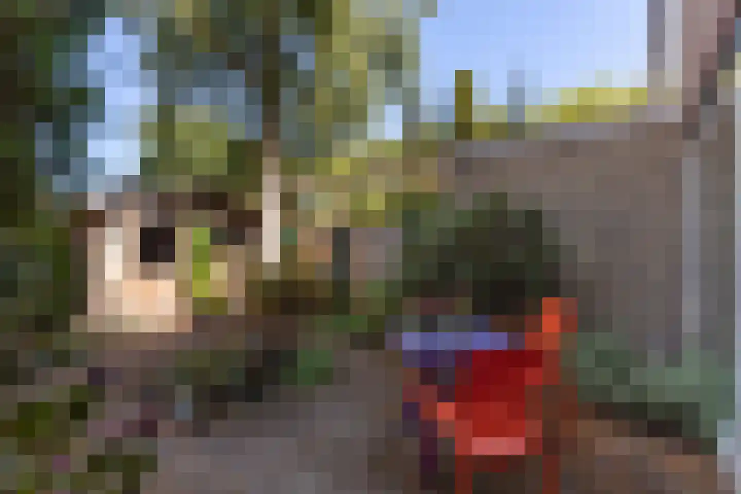 Laan van Parijs 33 Haarlem thumbnail 27