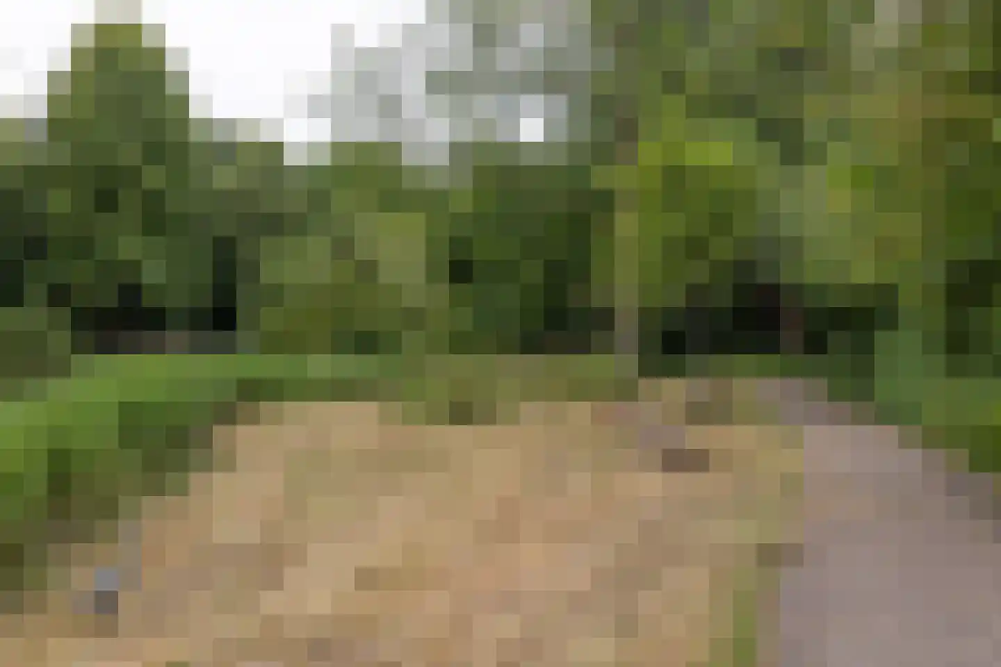 Laan van Parijs 33 Haarlem thumbnail 34