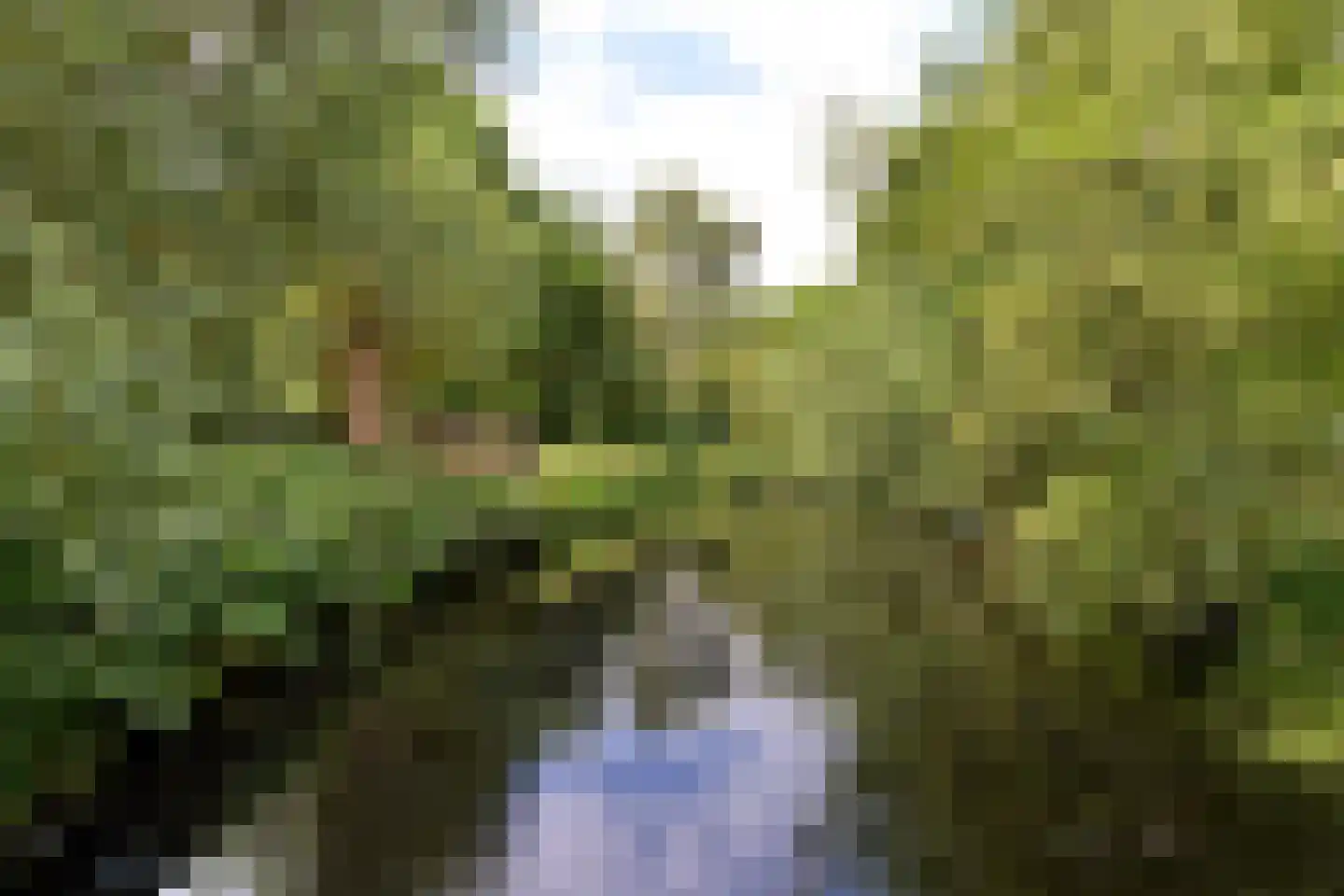 Laan van Parijs 33 Haarlem thumbnail 35